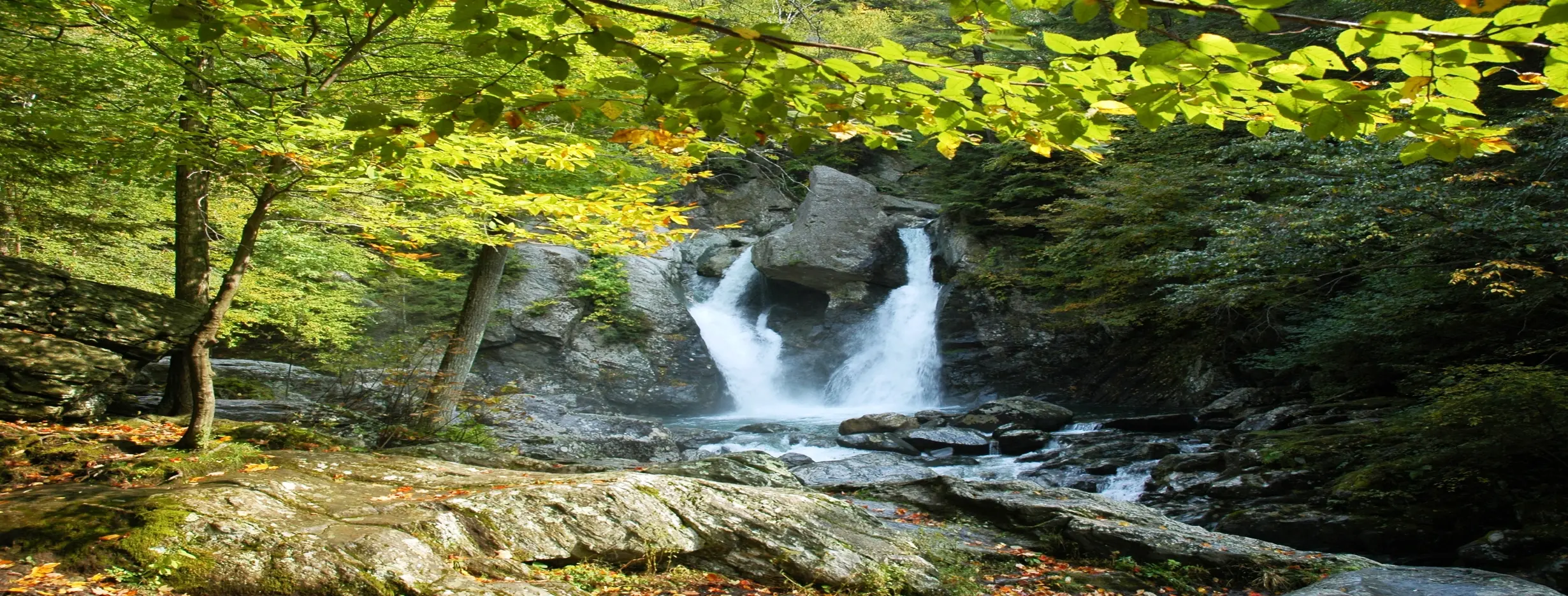 Image for Slovak Paradise Park